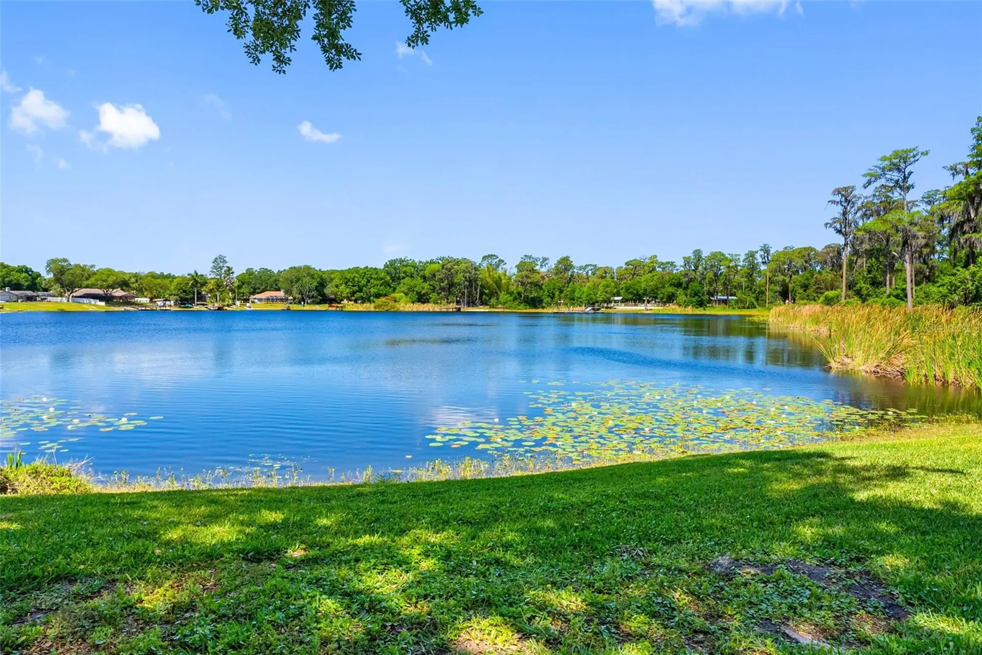 10209 Lake Grove Drive Odessa FL 33556