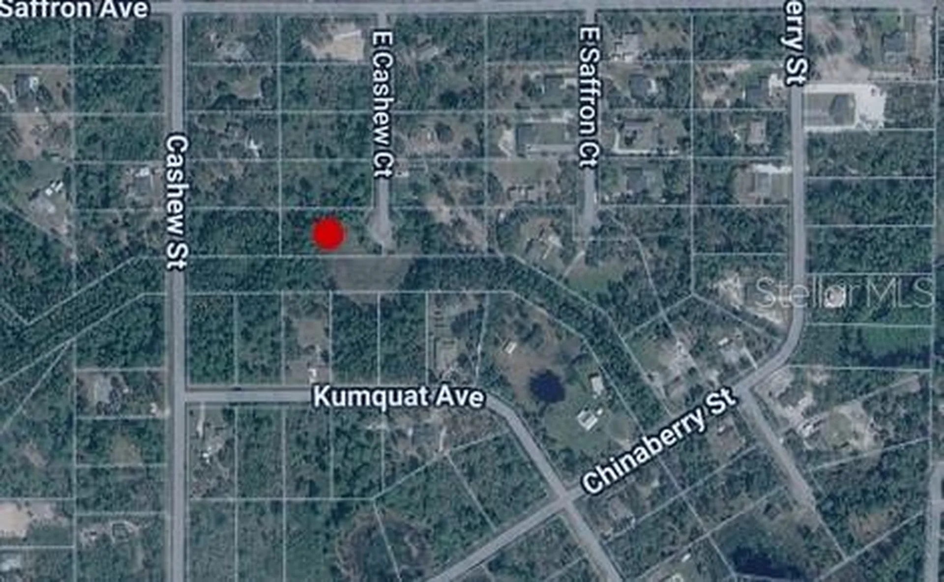 E Cashew Court Eustis FL 32736