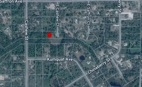 E Cashew Court Eustis FL 32736