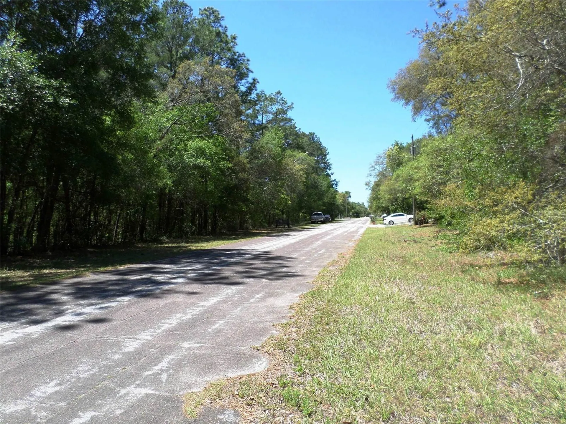 1361 W Saint Elizabeth Place Citrus Springs FL 34434