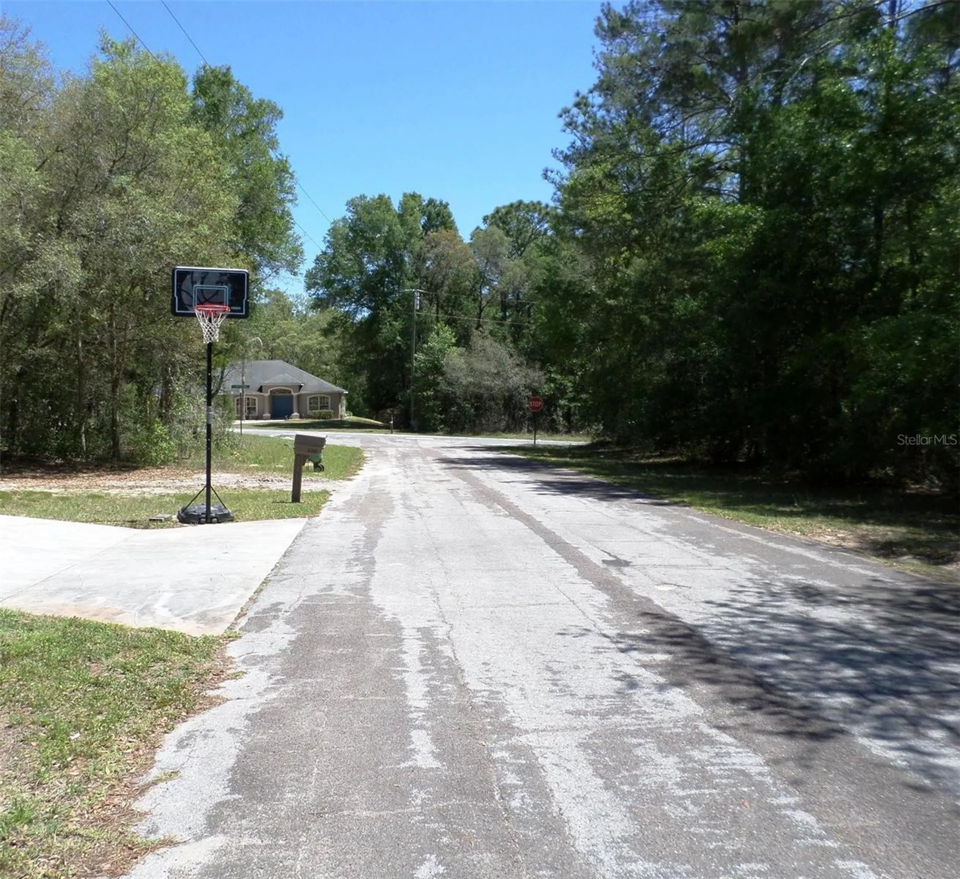 1361 W Saint Elizabeth Place Citrus Springs FL 34434