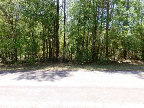 1361 W Saint Elizabeth Place Citrus Springs FL 34434