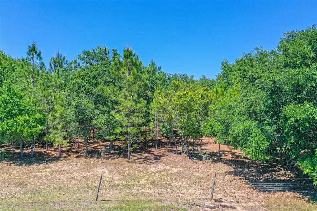 107 Edgewood Boulevard Lake Wales FL 33898