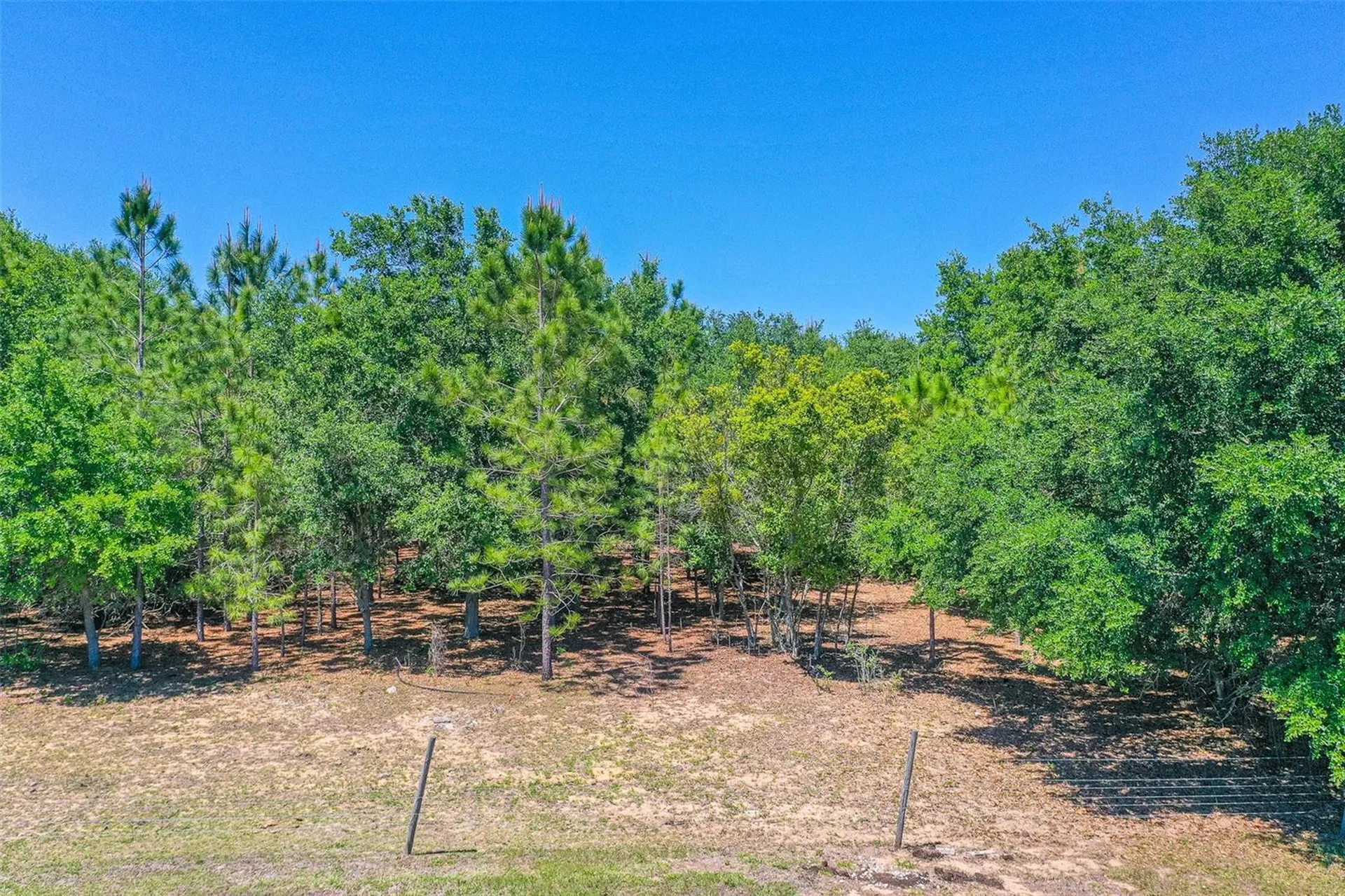 107 Edgewood Boulevard Lake Wales FL 33898