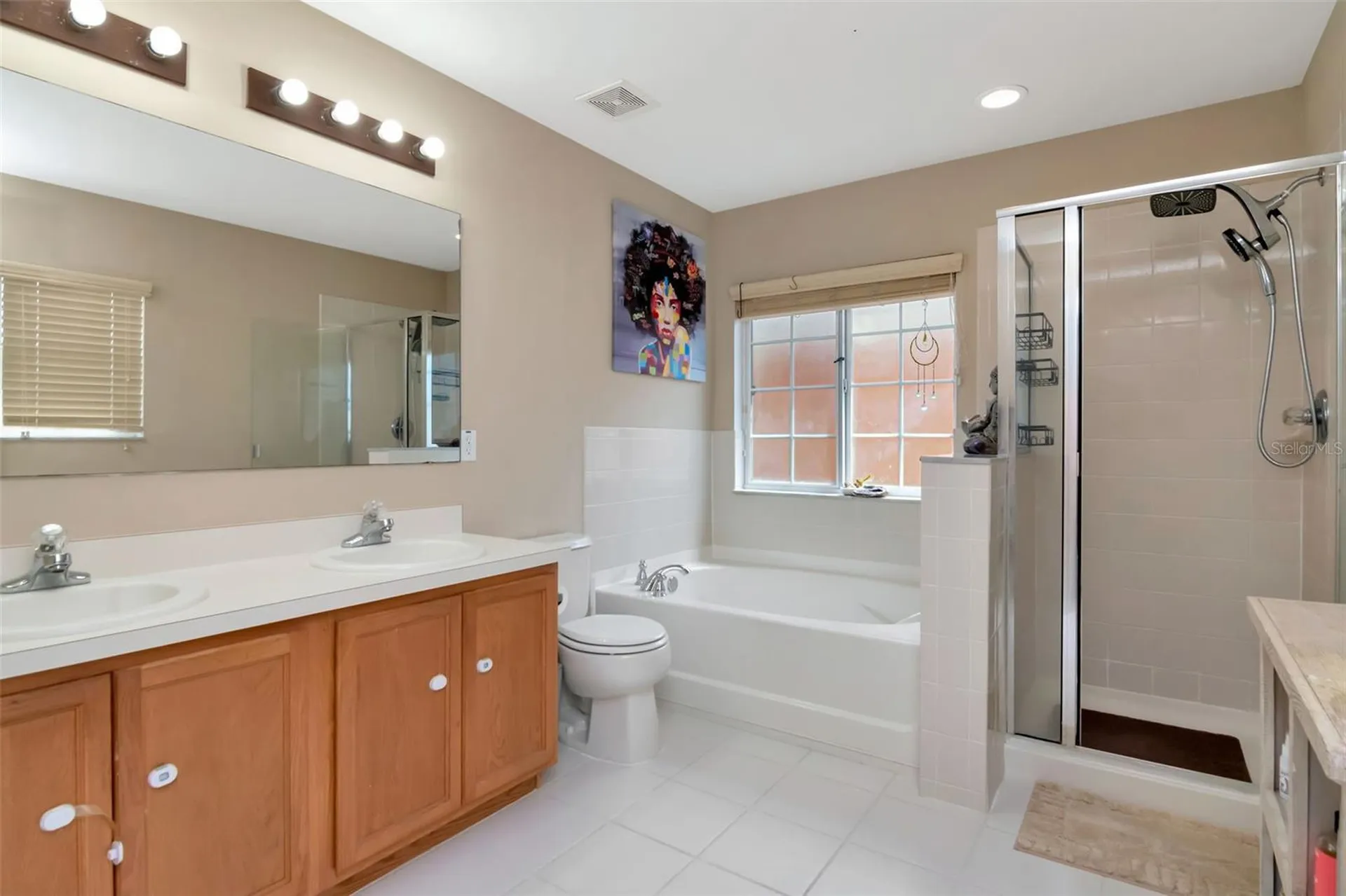 11108 Silver Fern Way Riverview FL 33569