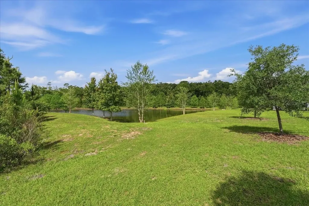 16673 Shell Bay Drive Land O Lakes FL 34638