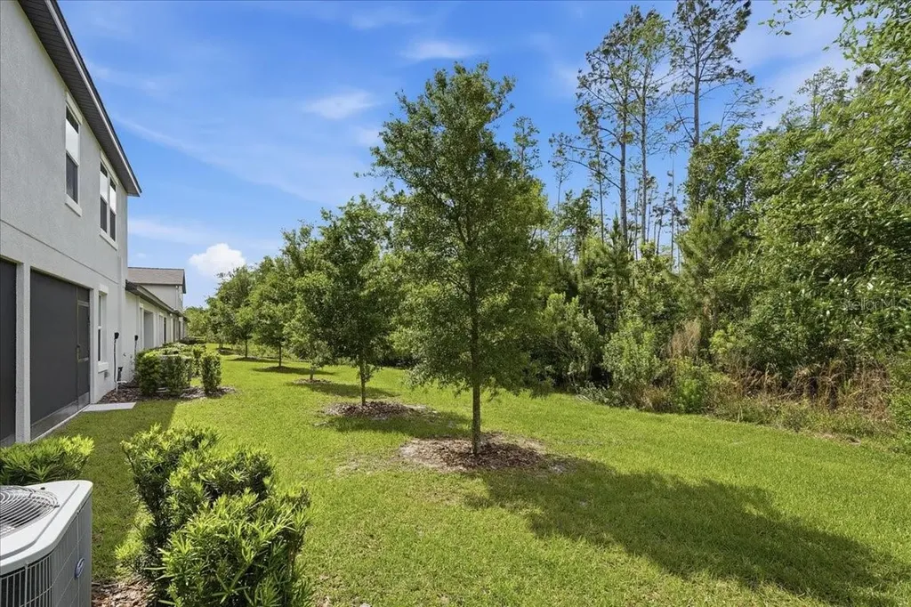 16673 Shell Bay Drive Land O Lakes FL 34638