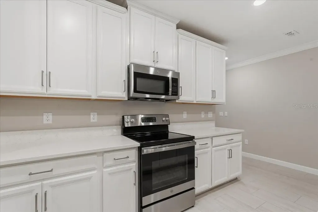 16673 Shell Bay Drive Land O Lakes FL 34638