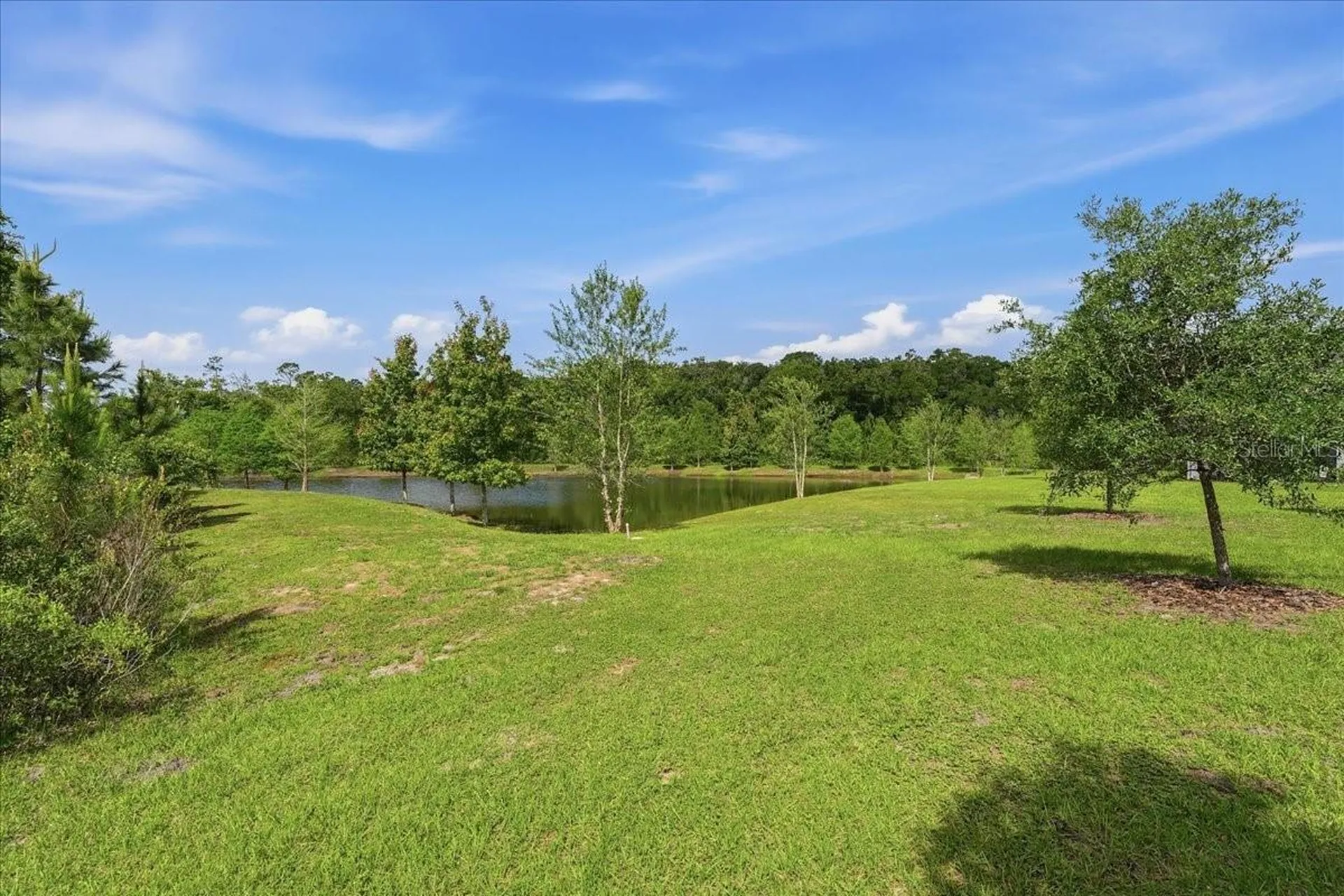 16673 Shell Bay Drive Land O Lakes FL 34638