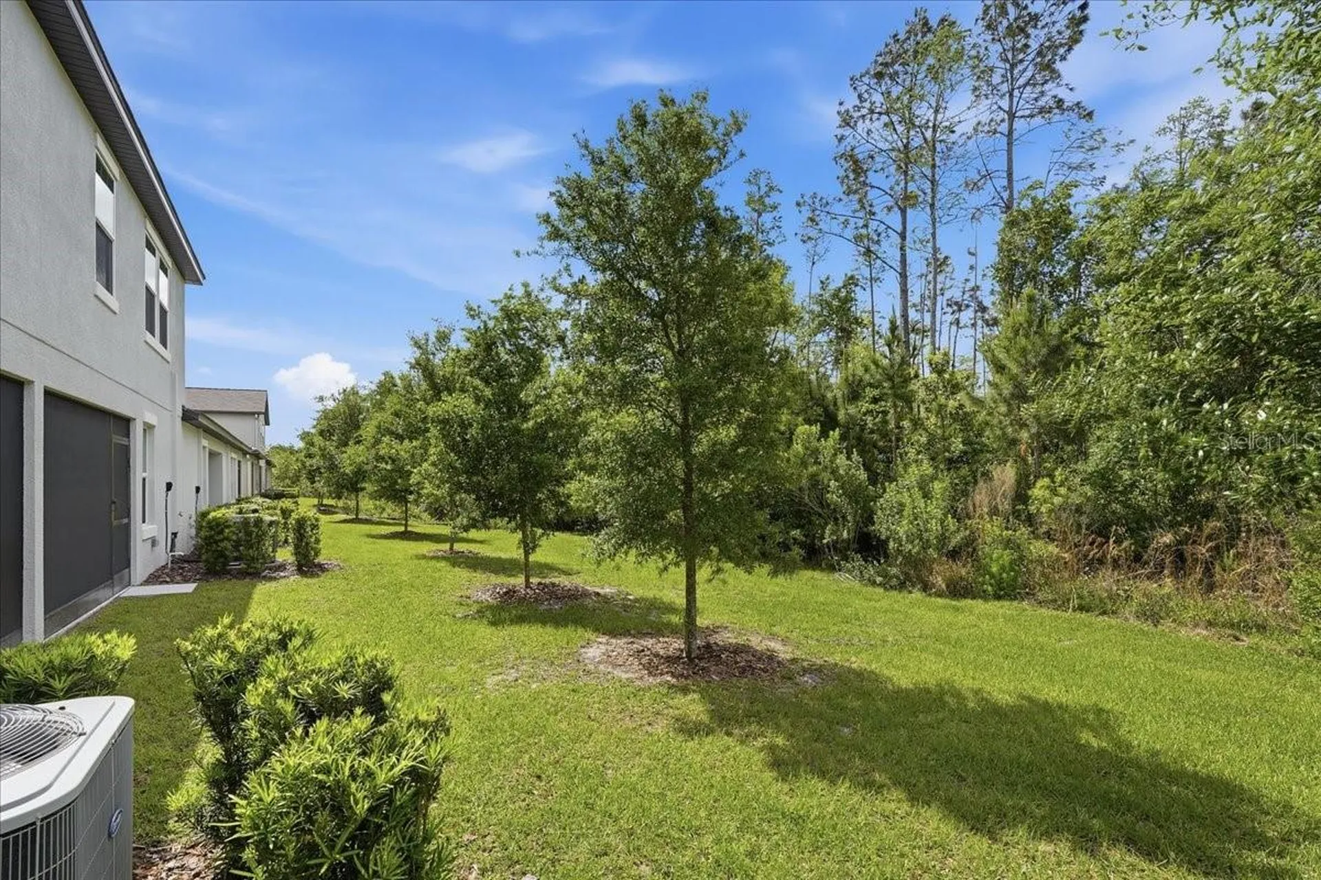 16673 Shell Bay Drive Land O Lakes FL 34638