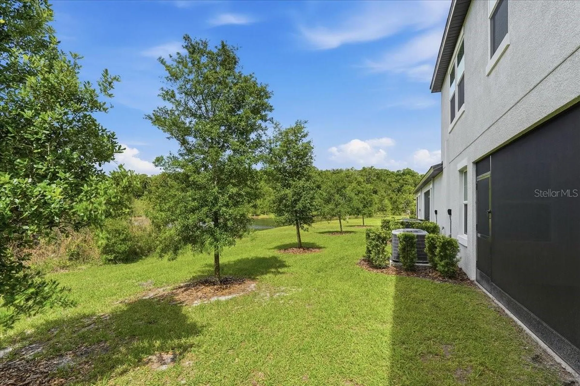 16673 Shell Bay Drive Land O Lakes FL 34638