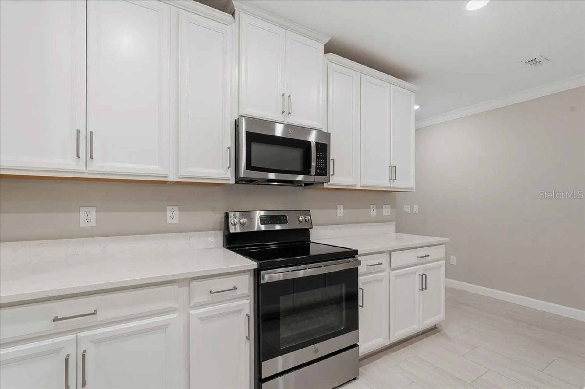 16673 Shell Bay Drive Land O Lakes FL 34638