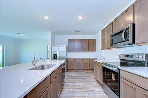 32463 Weathered Oak Drive Wesley Chapel FL 33543