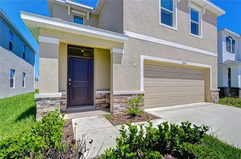 32463 Weathered Oak Drive Wesley Chapel FL 33543