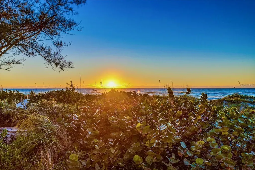 20204 Gulf Boulevard Indian Shores FL 33785