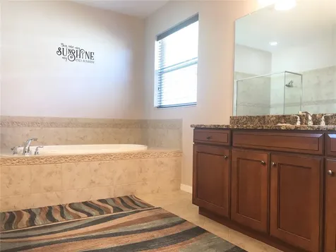 19125 Sweet Clover Lane Tampa FL 33647