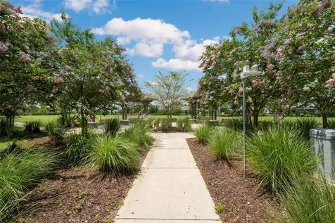 17974 Ramble On Way Land O Lakes FL 34638