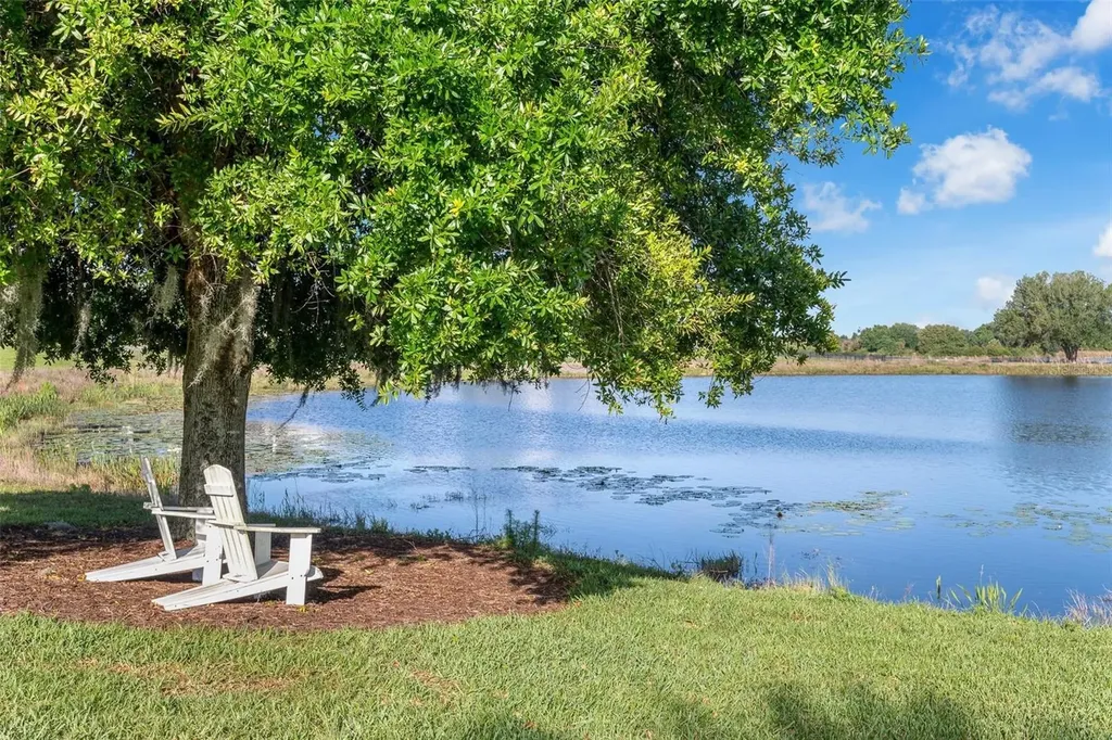 15161 Canoe Place Winter Garden FL 34787