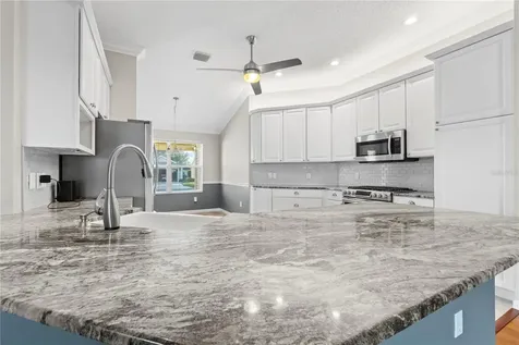 589 Sherwood Street The Villages FL 32162