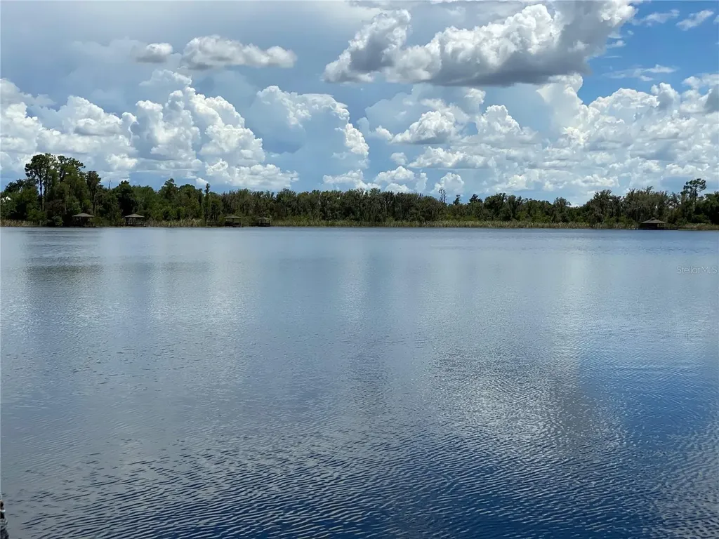 21430 Draycott Way Land O Lakes FL 34637