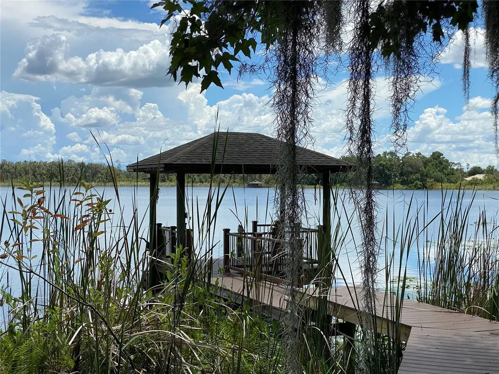 21430 Draycott Way Land O Lakes FL 34637