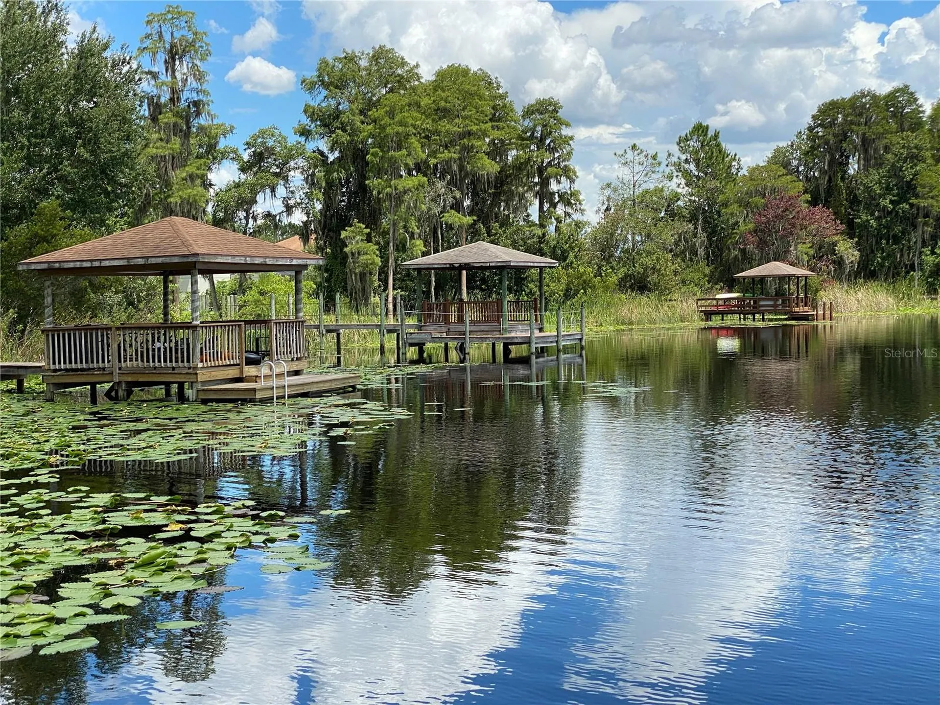 21430 Draycott Way Land O Lakes FL 34637
