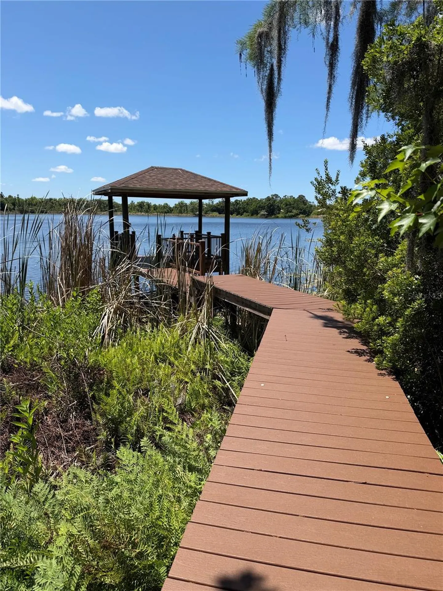 21430 Draycott Way Land O Lakes FL 34637