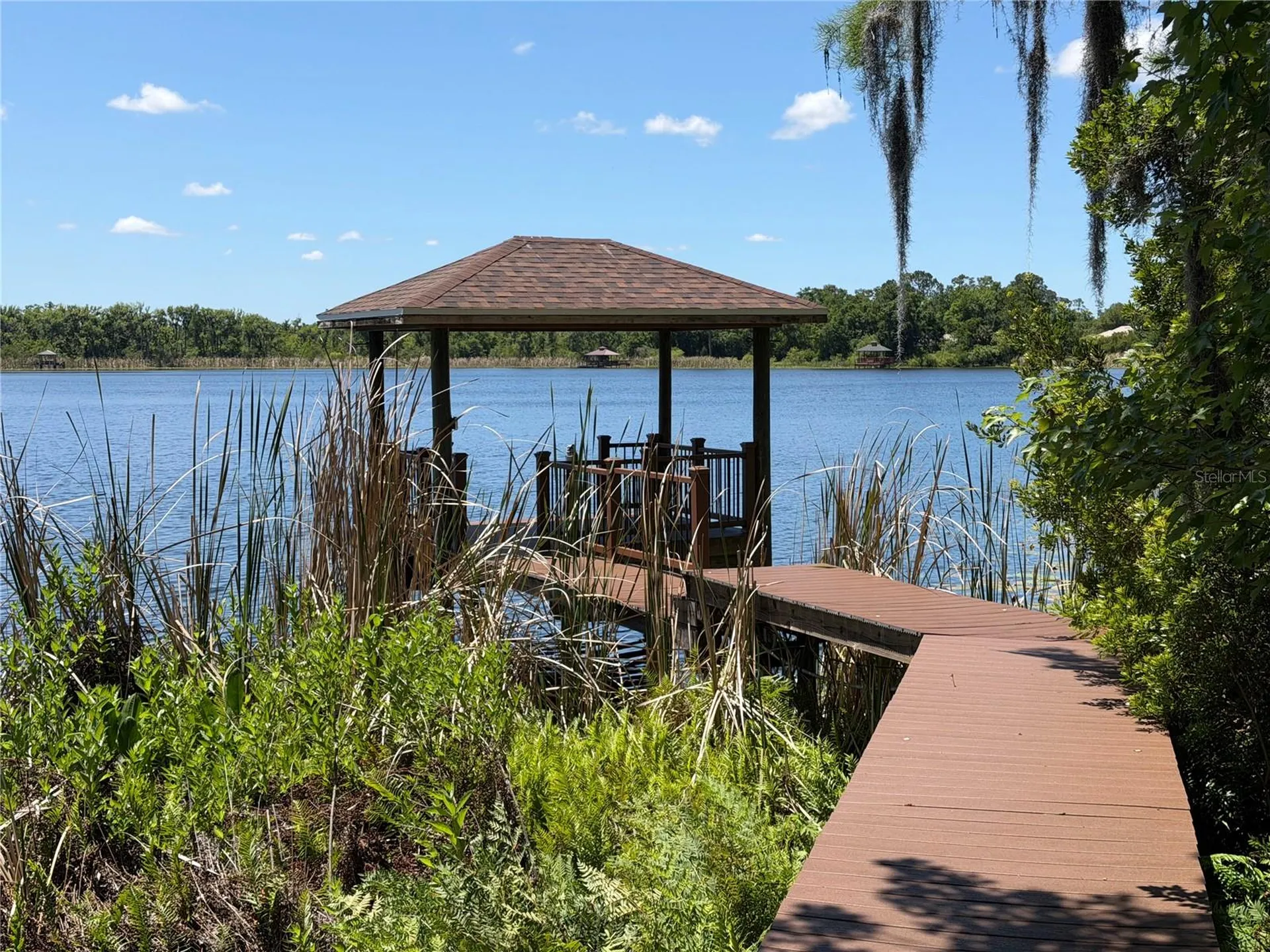 21430 Draycott Way Land O Lakes FL 34637