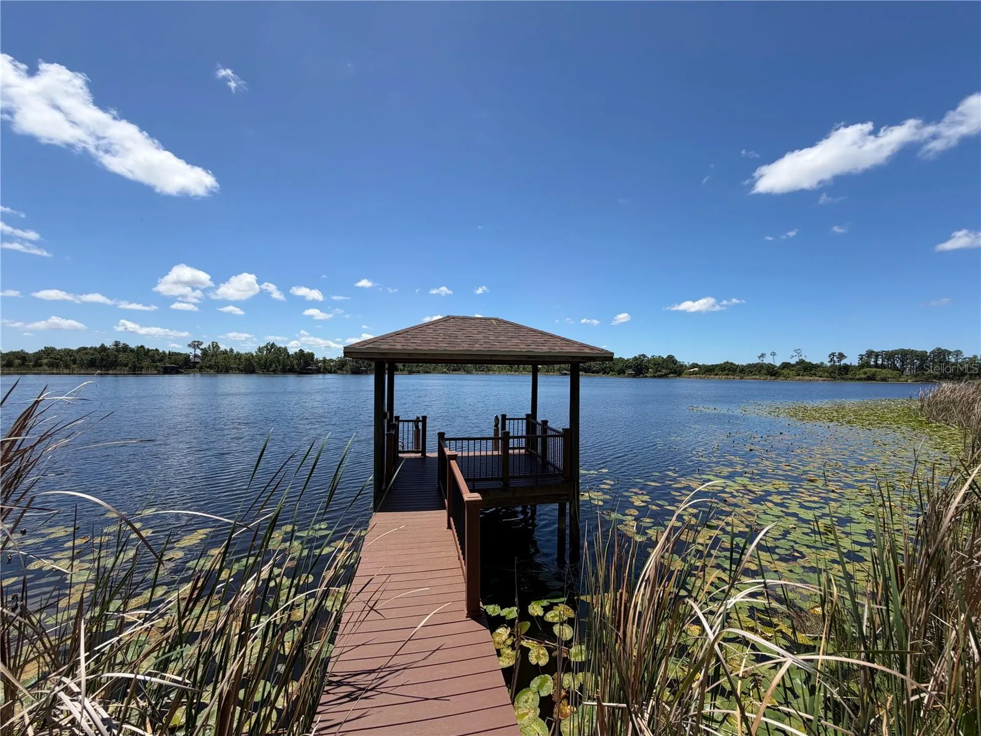 21430 Draycott Way Land O Lakes FL 34637