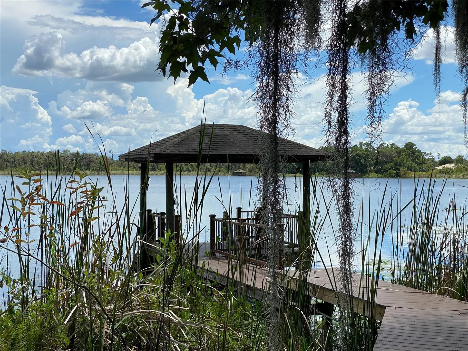 21430 Draycott Way Land O Lakes FL 34637