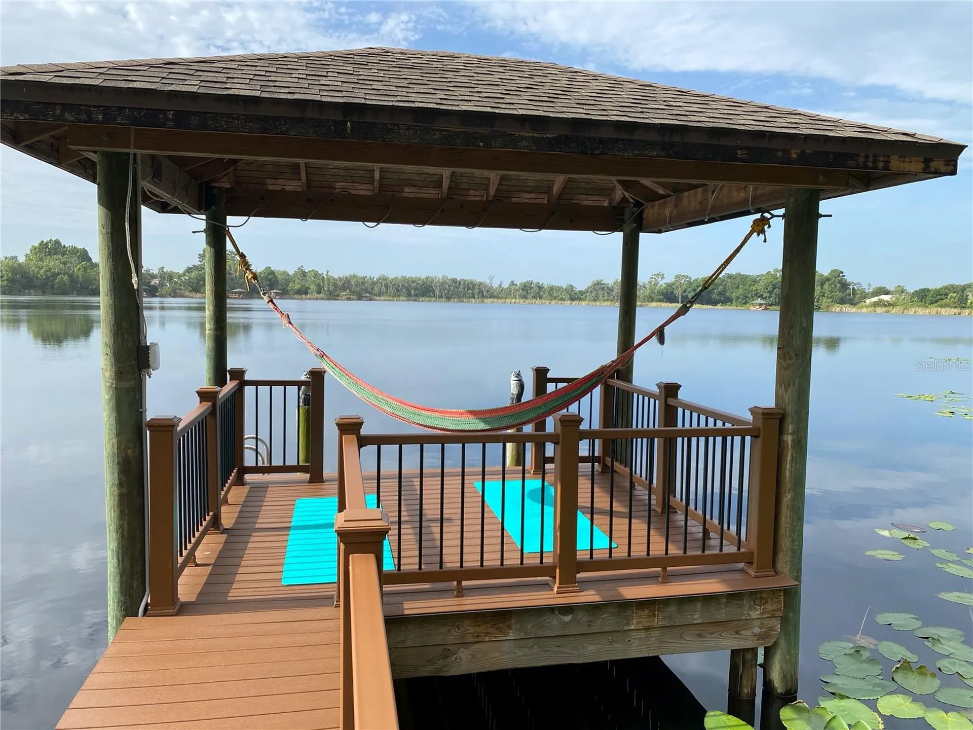 21430 Draycott Way Land O Lakes FL 34637