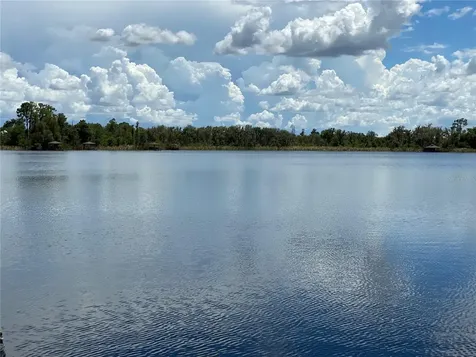 21430 Draycott Way Land O Lakes FL 34637
