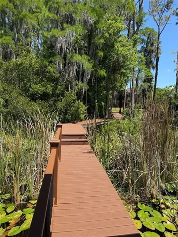 21430 Draycott Way Land O Lakes FL 34637