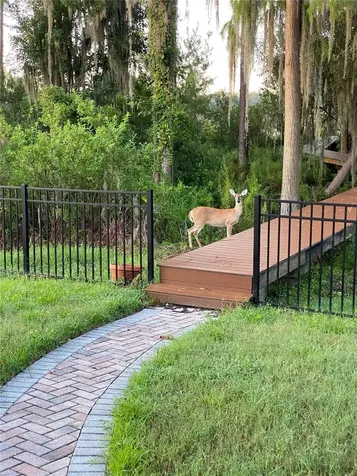 21430 Draycott Way Land O Lakes FL 34637