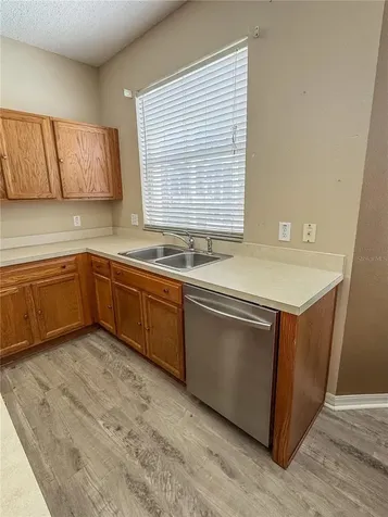 10526 Beneva Drive Tampa FL 33647