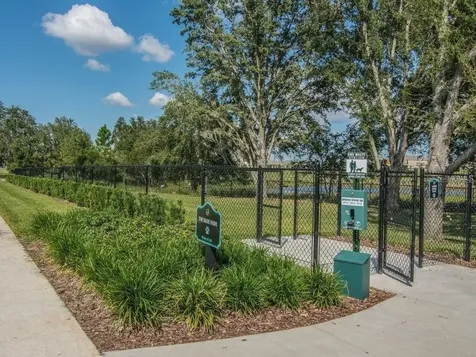 16067 Pebble Bluff Loop Winter Garden FL 34787
