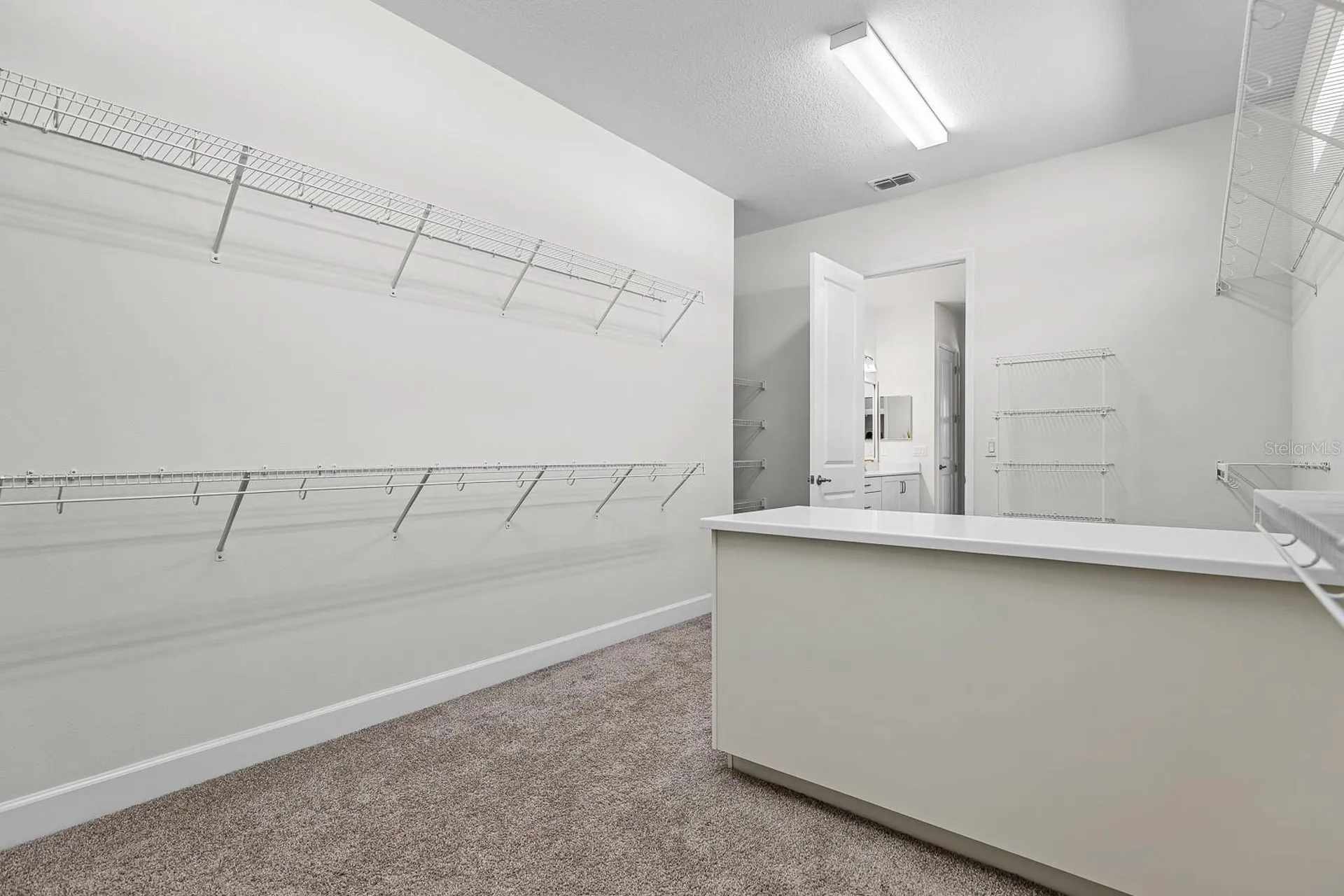 13930 Natures Reserve Drive Lithia FL 33547