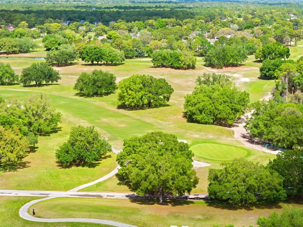 15028 Middle Fairway Drive Spring Hill FL 34609