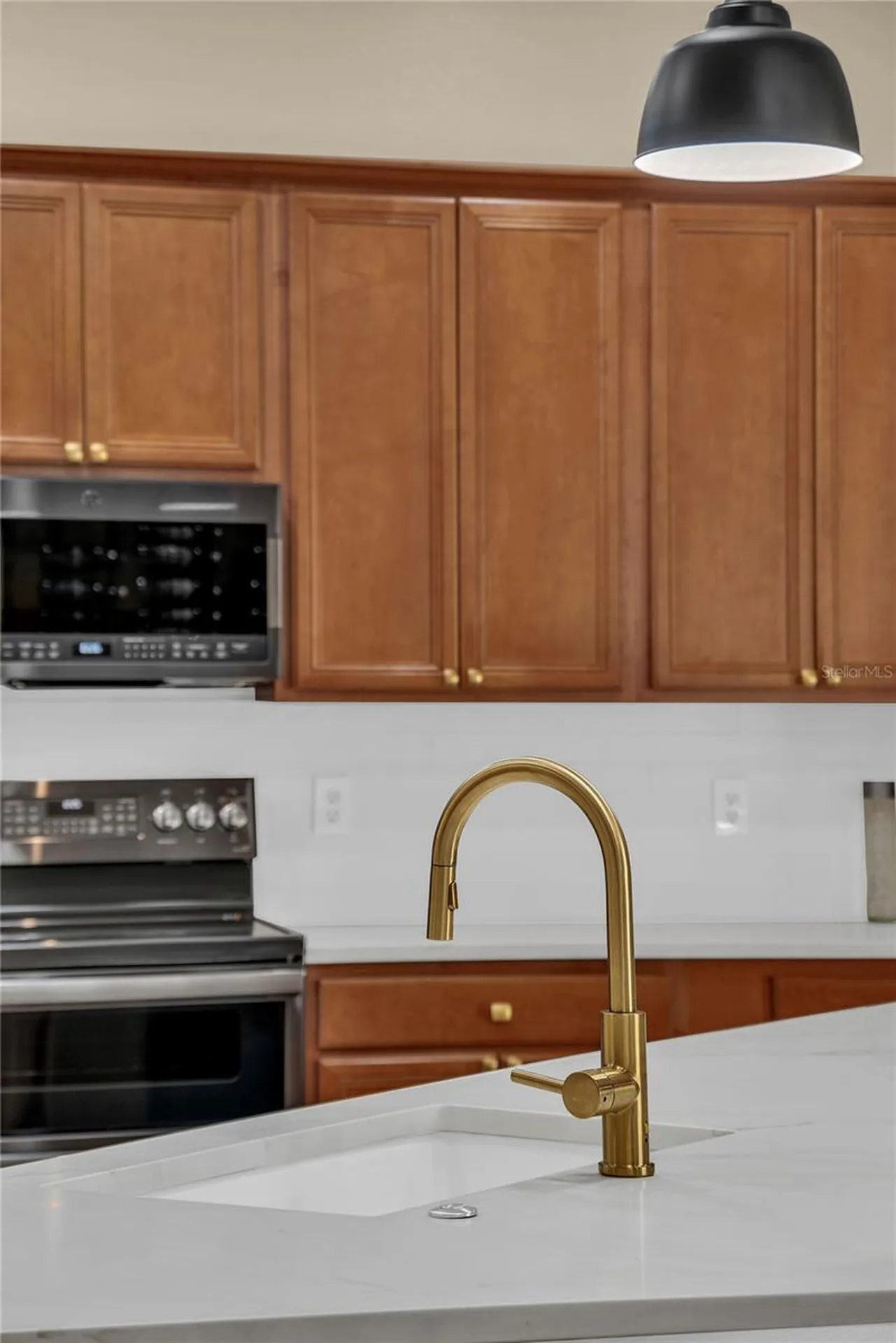 9806 Mountain Lake Drive Orlando FL 32832