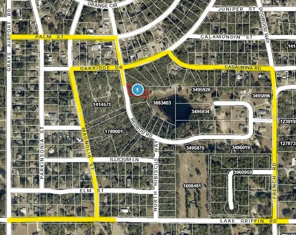 Redbud Road Lady Lake FL 32159