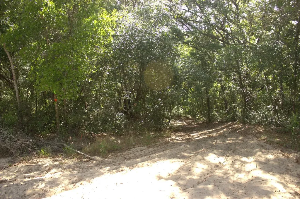 Redbud Road Lady Lake FL 32159
