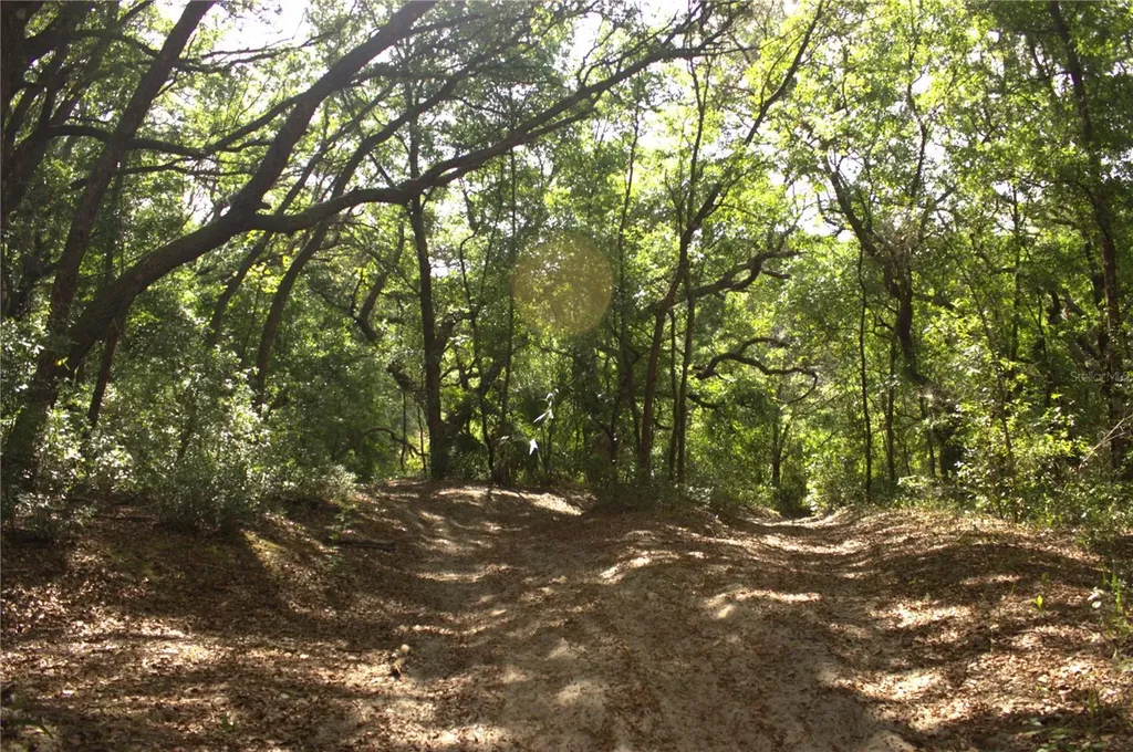 Redbud Road Lady Lake FL 32159