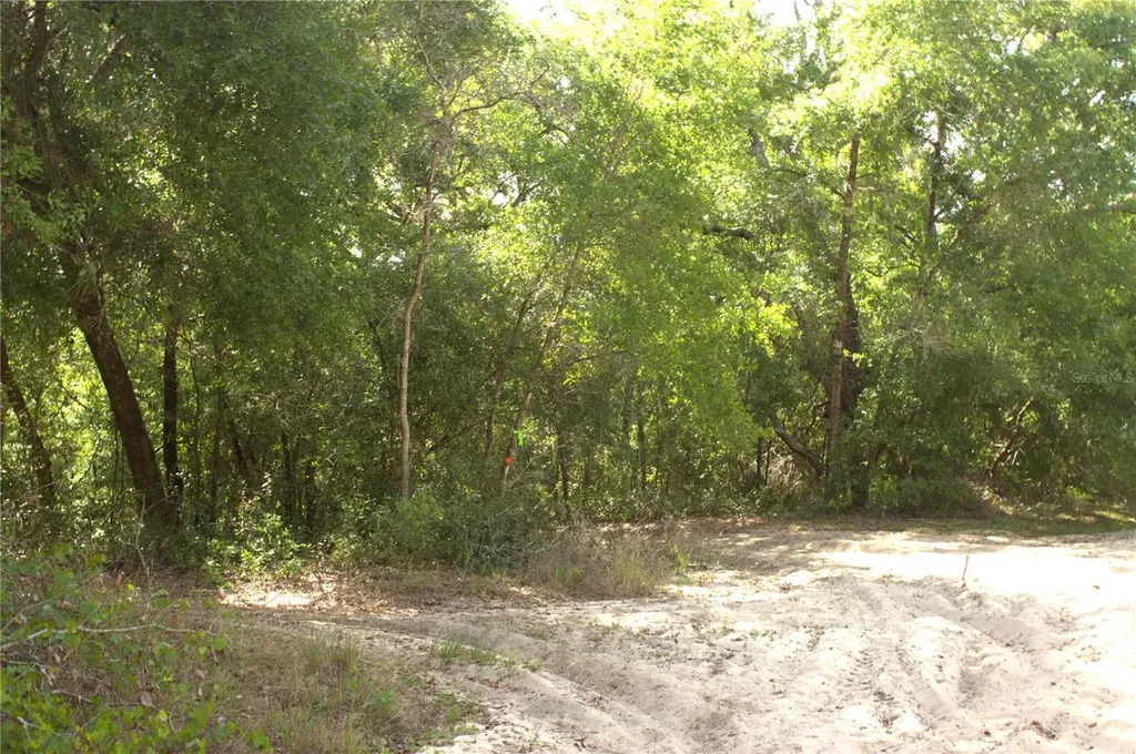 Redbud Road Lady Lake FL 32159