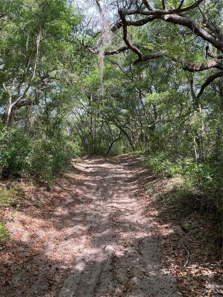 Redbud Road Lady Lake FL 32159