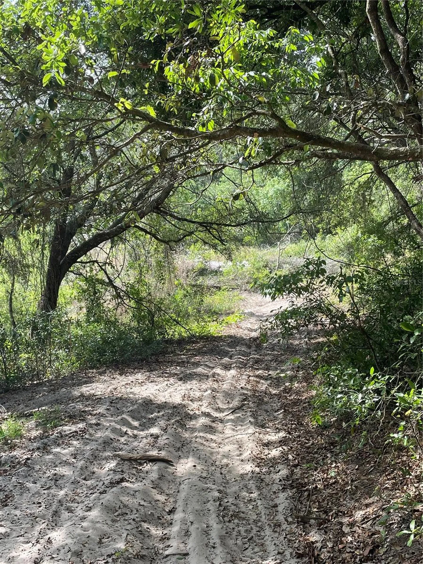 Redbud Road Lady Lake FL 32159
