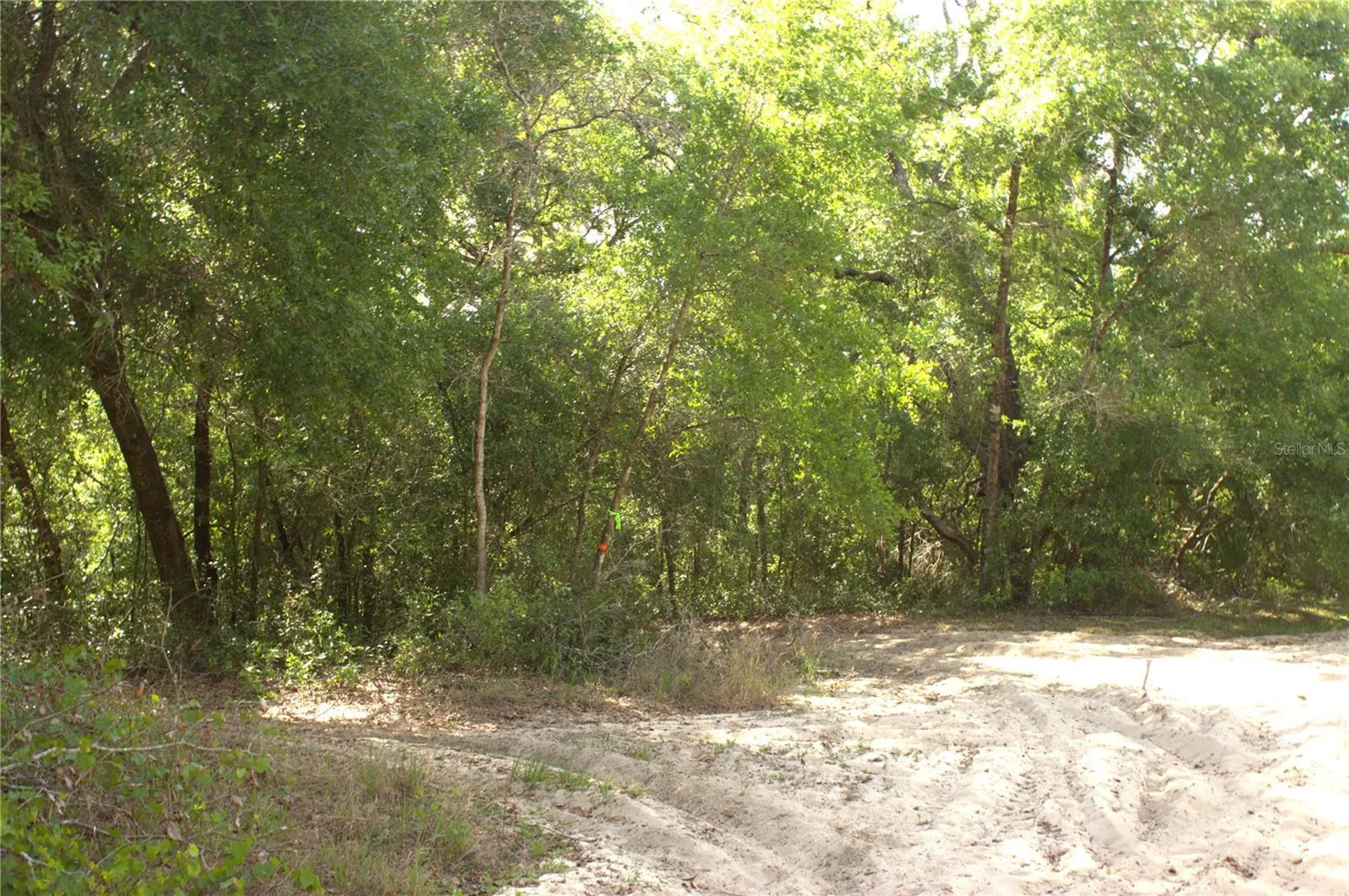 Redbud Road Lady Lake FL 32159