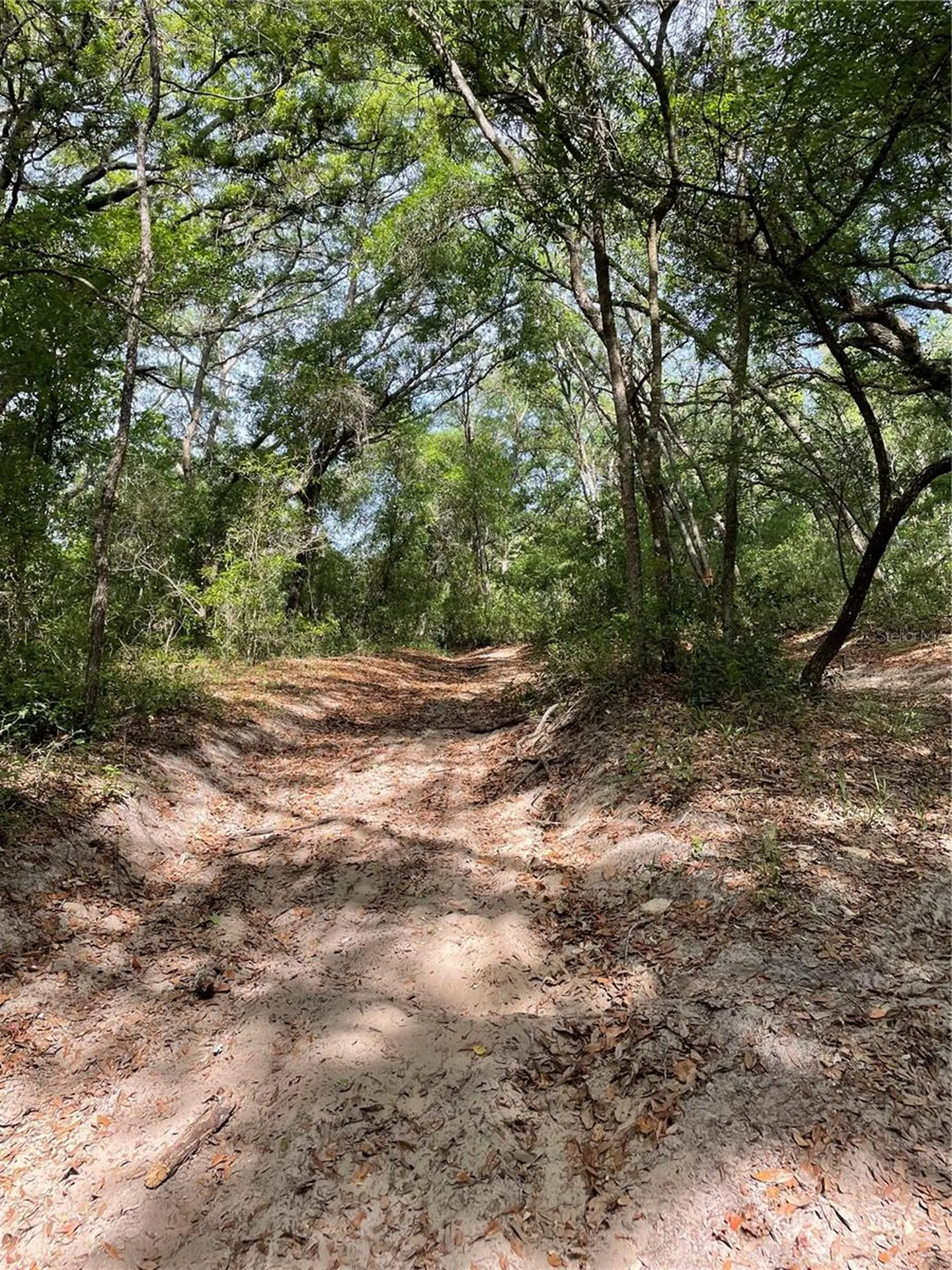 Redbud Road Lady Lake FL 32159