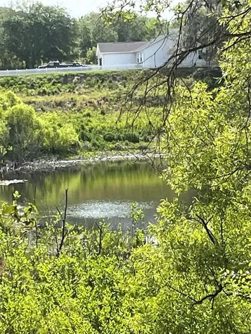 Redbud Road Lady Lake FL 32159