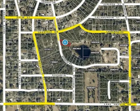 Redbud Road Lady Lake FL 32159