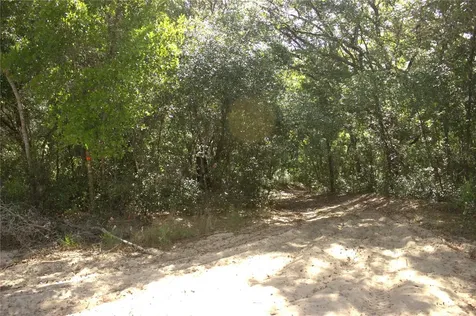 Redbud Road Lady Lake FL 32159